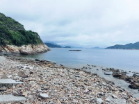 綠蛋島