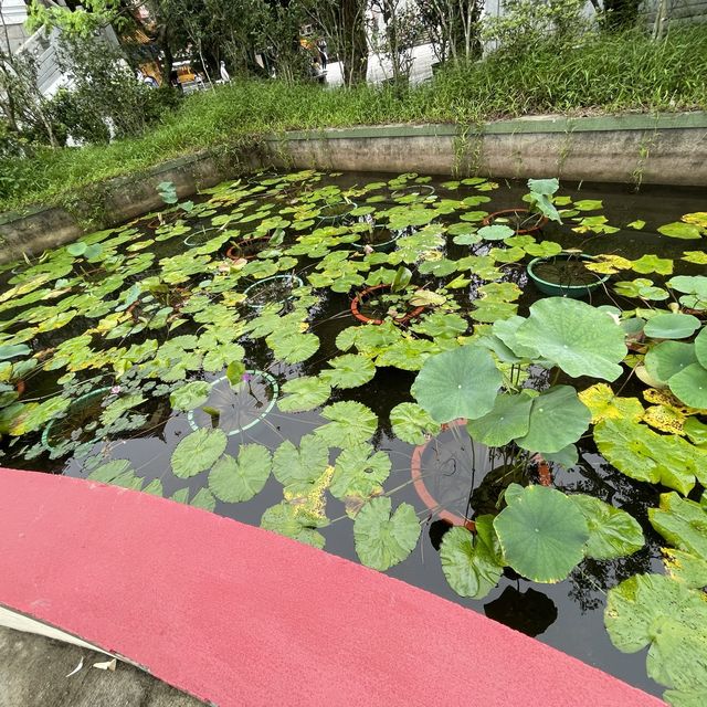 香港著名景點「寶蓮寺」