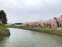 函館超靚五稜郭公園