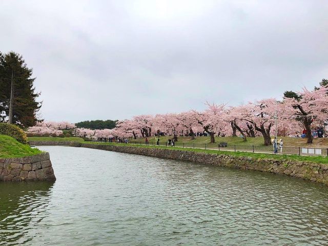 函館超靚五稜郭公園