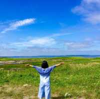 【北海道 根室】美しい風蓮湖✨