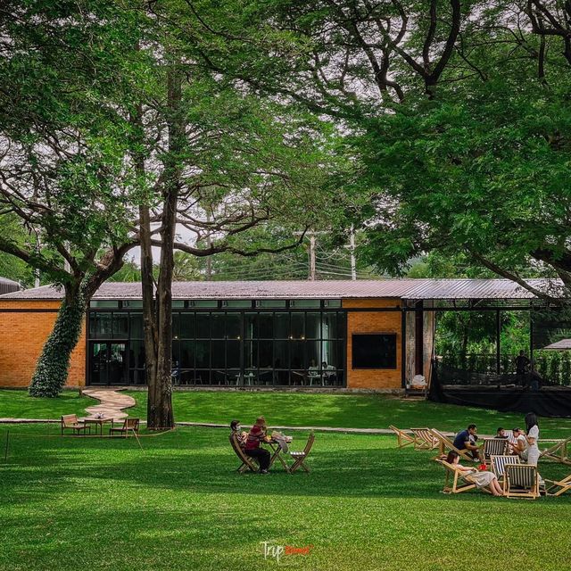 คาเฟ่ที่มีวิวสวนสวยๆ สีเขียวๆสลายตาสุดๆ