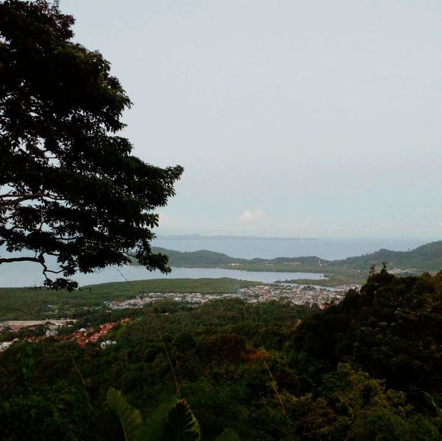 เดินกินลม..ชมลิง..ที่ป่าในเมือง(ภูเก็ต)