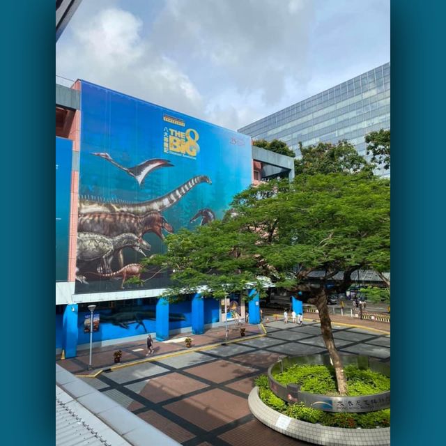 恐龍🦕🦖出沒注意⚠️