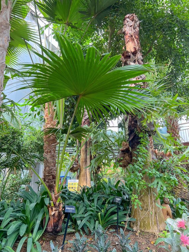 나무들과 함께 힐링하기 좋은 식물원🌳💚