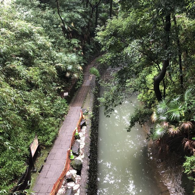 【等々力渓谷】
