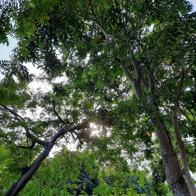 坑口文曲里風景