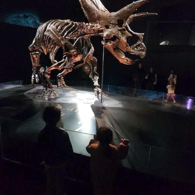 Amazing dinosaur exhibition!