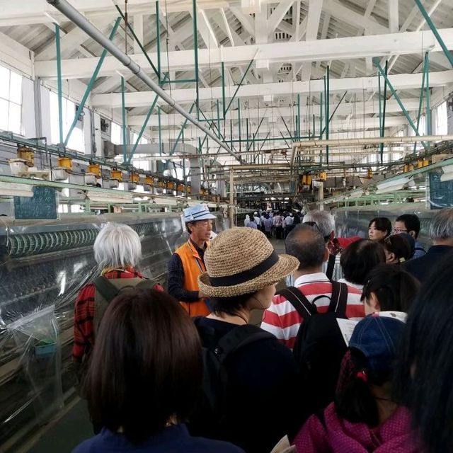 誰もが名前は知っている？世界遺産！ 富岡製糸場に行ってきました！