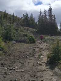 Sulphur Mountain Trail