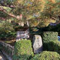 【石川】兼六園の紅葉🍁