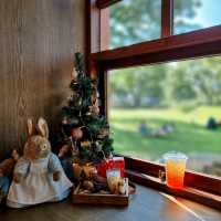 คาเฟ่โฮมมี่น่ารักที่ลำพูน || Judy's home cafe