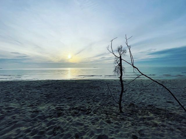หาดทรายขาวทอดยาว ณ ทุ่งวัวแล่น ชุมพร