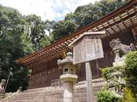 世界最古の神社建築🌟宇治上神社