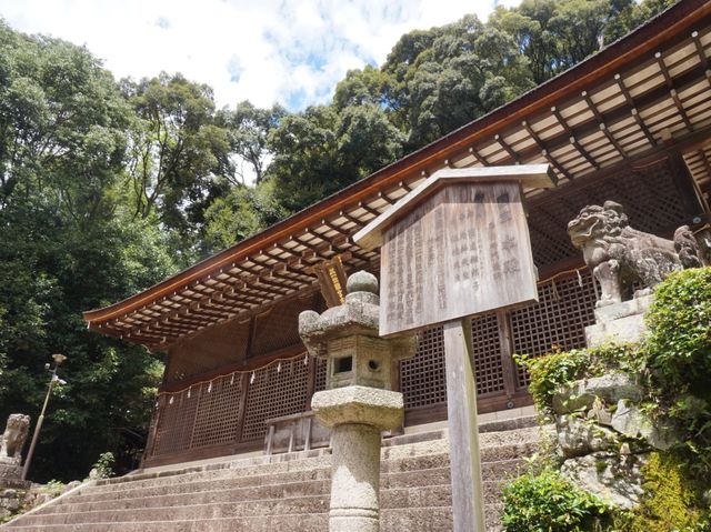 世界最古の神社建築🌟宇治上神社