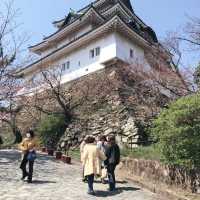 wakayama castle