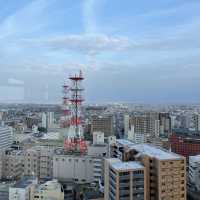 富山市役所展望台