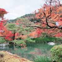 京都[紅葉めぐり]  永観堂[禅林寺]  (感動の庭園編)