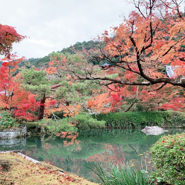京都[紅葉めぐり]  永観堂[禅林寺]  (感動の庭園編)