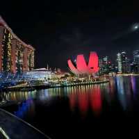 Night View from Helix Bridge