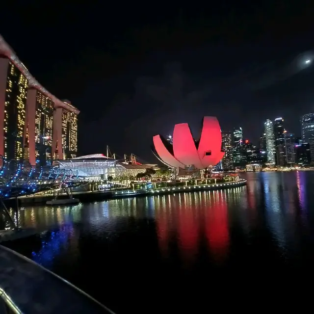 Night View from Helix Bridge