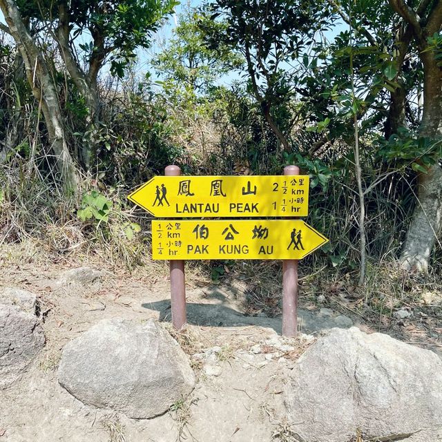 鳳凰山