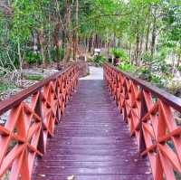 ธรรมชาติบำบัด