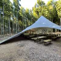 【栃木】幻想的な竹の世界「若竹の社 若山農場」