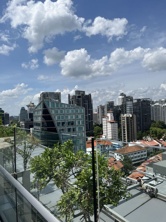 Orchard Central Roof Garden 