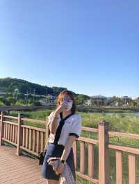 백운호수 뷰가 멋진 의왕 베이커리 카페🥰