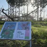 名古屋市守山区　フルーツパークの果樹園