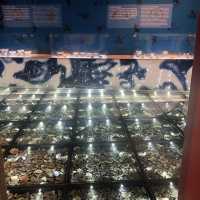 文化探索之旅展覽