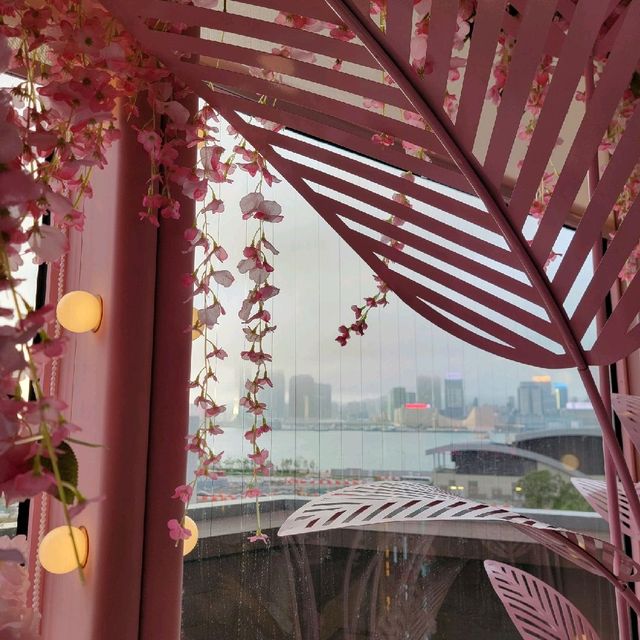感受粉紅色的浪漫💗茹素積福🙏