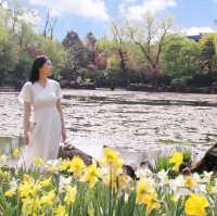 파주 벽초지수목원 신화 컨셉의 수목원 🌼