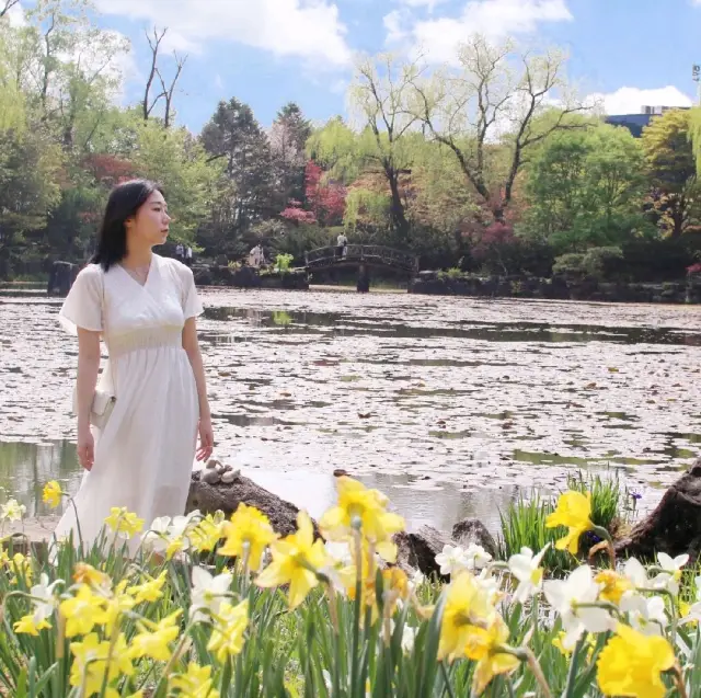 파주 벽초지수목원 신화 컨셉의 수목원 🌼