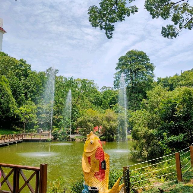 位於台中山中的東勢林場遊樂園