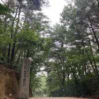 서울 계곡 추천 :진관사 계곡💚