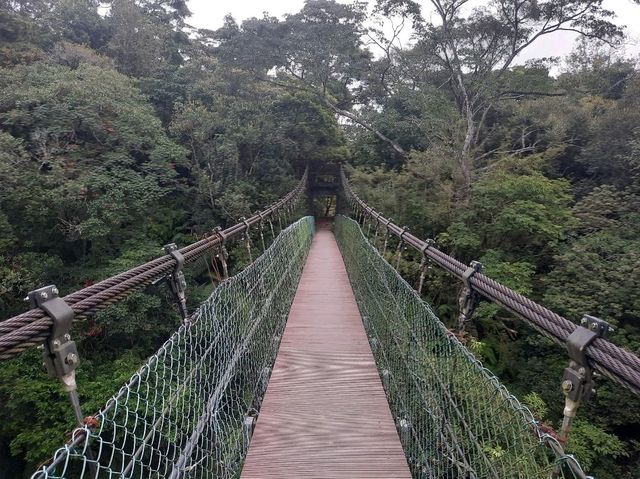 ［桃園］高遶吊橋