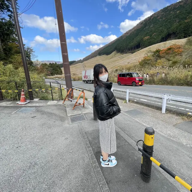 cánh đồng lau ở hakone