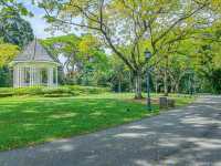 สวนพฤกษศาสตร์สิงคโปร์ (Singapore Botanic Gardens)