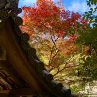 京都の中でも紅葉の穴場スポット　毘沙門堂