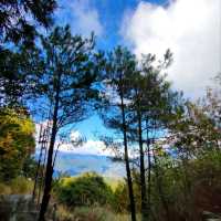 福壽山農場-群山觀景台