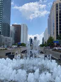 여름에는 청계천에서 탁족을☀️💦