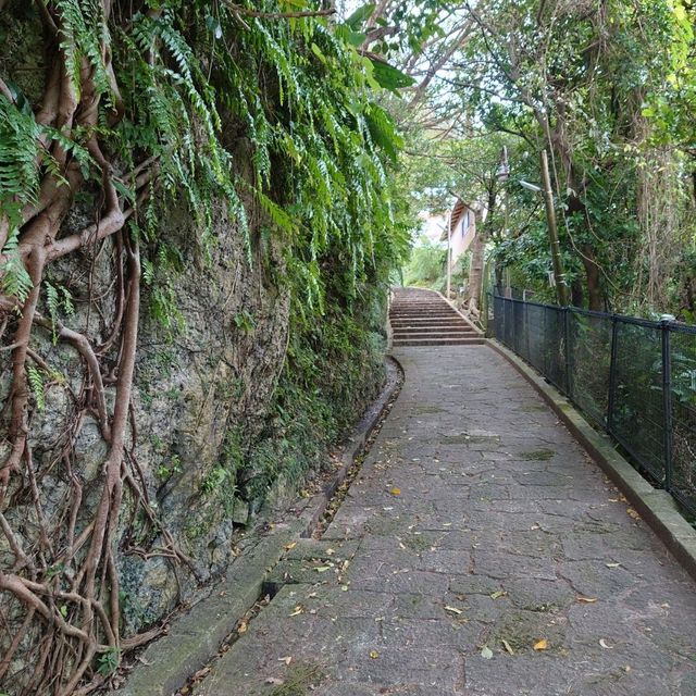 首里金城石畳道「真珠道」