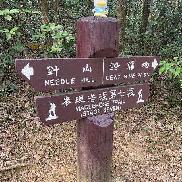 新年新開始‼️挑戰針山😍風景100分