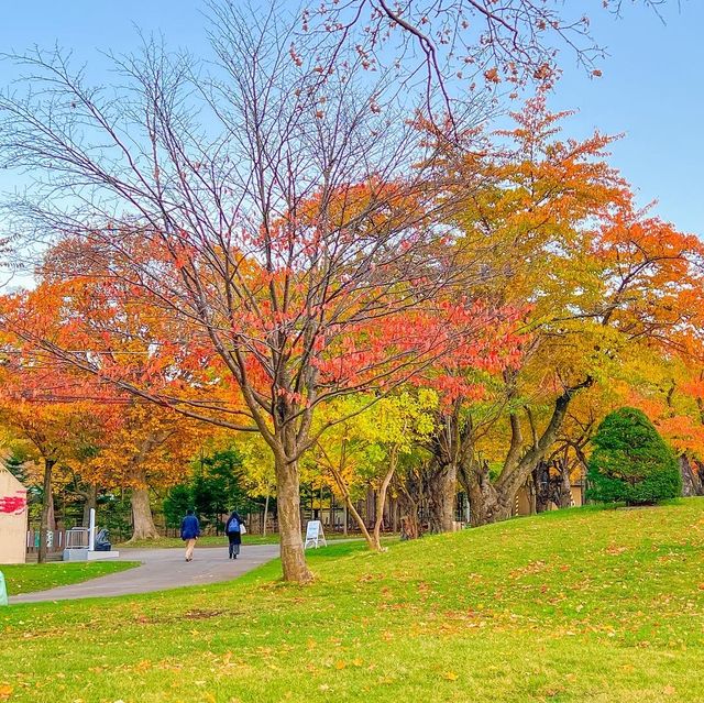 삿포로 마루야마 동물원