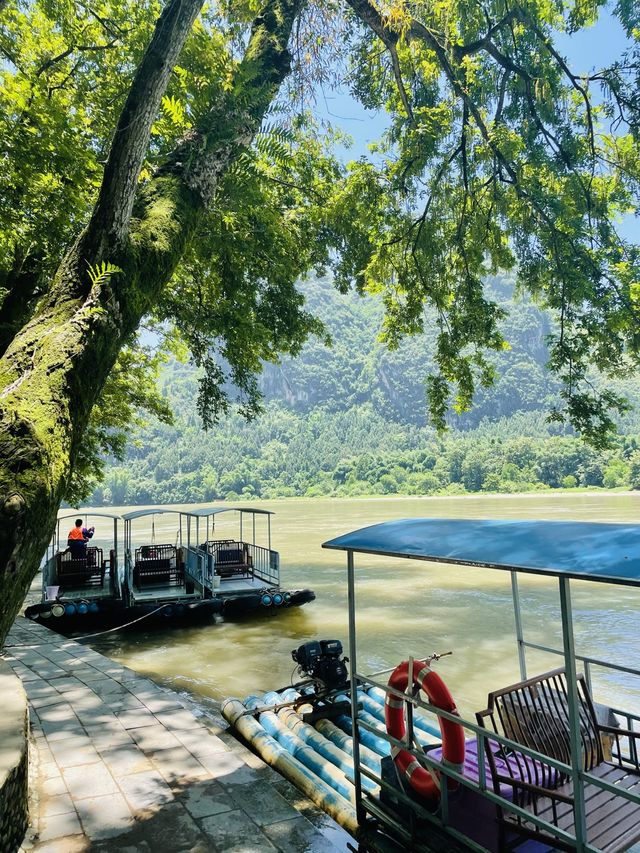 Li River Cruise, Yangshuo🌿🌳🌲