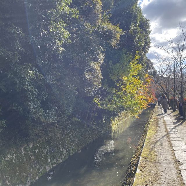 從銀閣寺往永觀堂 - 踏哲學之道看秋楓