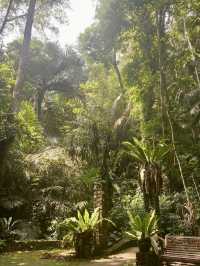 Penang Botanical Garden - Malaysia  