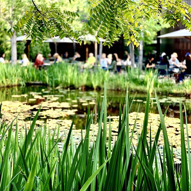 Norton Simon Museum & Sculpture Garden 